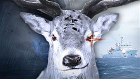 白鹿,颱風,海巡署,警示文(翻攝自海巡署臉書)