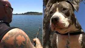 狗,鯊魚,飼主,護主,釣魚,鬥牛犬,咬住,感動,奇蹟,魚鰓,尖吻七鳃鲨 圖／翻攝自推特