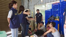 新北市，新北市專勤隊，移工，非法移工，逾期居留，食品加工廠