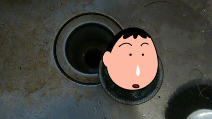 天兵媽幫兒種綠豆　水槽被豆芽菜攻陷
