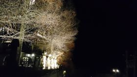 夜宿清境停車場　小夫妻慘遇鬼敲門…（圖／翻攝自靈異公社）