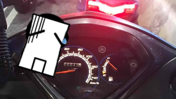 騎車到一半…儀表板爬出「不速之客」