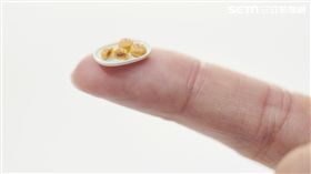 微型展,郭元益,田中智,蛋黃酥,月餅