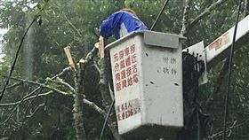 白鹿颱風，台電，搶修停電　　圖／台電提供
