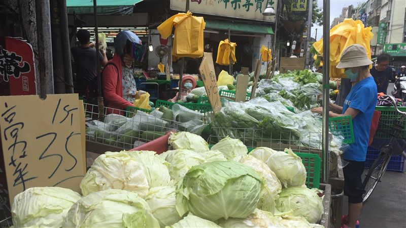 颱風襲台　高麗菜竟每顆百元有找！