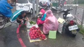 風雨中賣菜1100