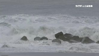 白鹿擦邊快閃　預計最快傍晚出海