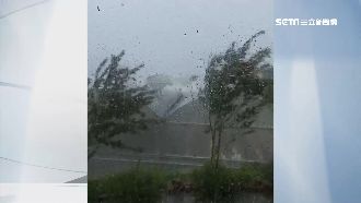 白鹿襲仁愛鄉掀屋　南投清境風雨凶猛