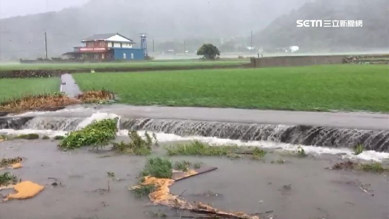 大雨猛襲！池上米故鄉田埂恐崩堤