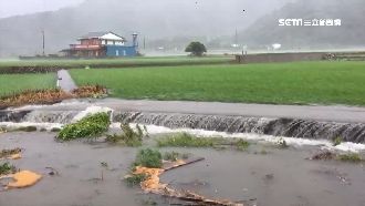 大雨猛襲！池上米故鄉田埂恐崩堤