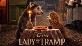《小姐與流氓》（Lady and the Tramp）圖／IG