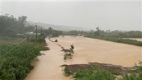 白鹿直擊花東！鹿野池上一片黃水無盡　玉米店直呼災情慘重（圖／翻攝畫面）