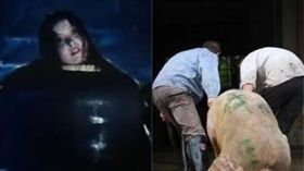 人彘,豬,組合圖