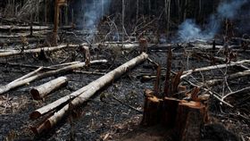 地球之肺,亞馬遜,雨林。(圖／翻攝自推特)　