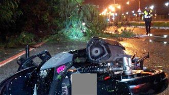 白鹿颱風吹倒路樹　騎士遭樹枝刺胸亡