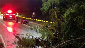 台南,白鹿颱風,路樹倒塌,車禍,穿刺傷.騎士,安南區（圖／翻攝畫面）