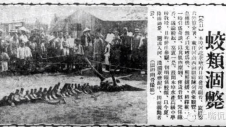 真相曝！1934年神秘「墜龍」事件