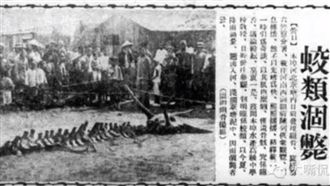 真相曝！1934年神秘「墜龍」事件