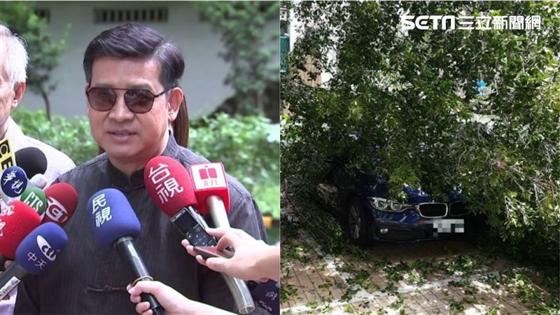 路樹壓爛百萬名車！男星爆氣喊話市長