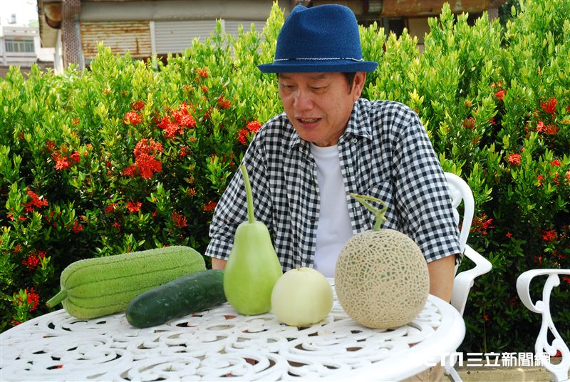 從小綠到大，果熟都看不出來?