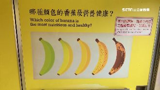 石虎彩繪惹議！爆車上「香蕉」也買的