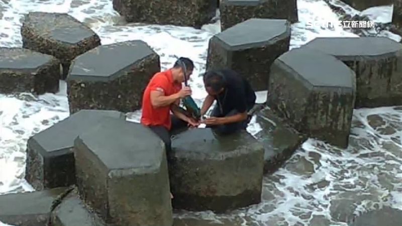 鸚鵡不敵風勢墜海…主辦：自己要斟酌