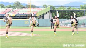 阪神虎啦啦隊「Tiger Girls」開球秀，與球迷同歡。（圖／記者王怡翔攝影）