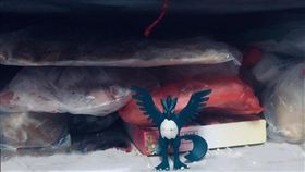 打開冰箱…驚見急凍鳥站冷凍庫口　女兒：牠本來就該在那裡（圖／翻攝自爆怨公社）