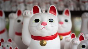 幸運,好運,運氣,財運,發財（圖／翻攝自unsplash）