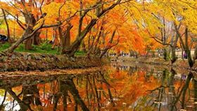 （圖／Tripbaa趣吧！亞洲自由行專家）