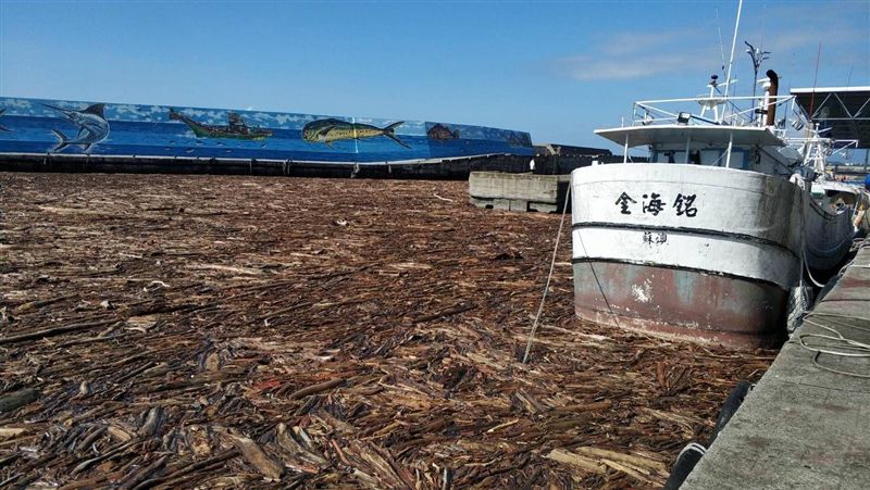 富岡漁港被漂流木塞爆　驚人畫面曝光