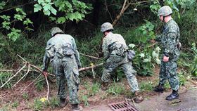澎湖縣,颱風白鹿,路樹傾倒,國軍,災後復原(圖/中央社)