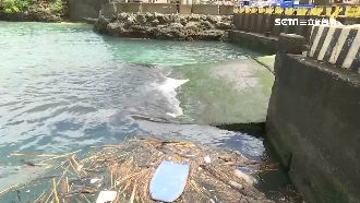 漁港斜坡青苔釀禍？居民：已經好幾次
