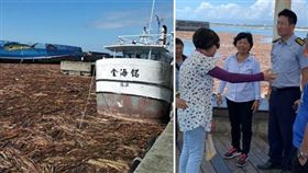 漂流木塞爆富岡漁港！漁民怒批林管處