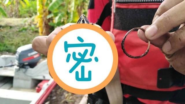 遭橡皮筋死纏…小烏龜全身變形慘狀曝