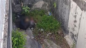 馬來西亞,行李箱,箱屍案,棄屍,長腿,女屍
圖／翻攝自中國報）