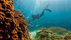 大堡礁。（圖／翻攝自澳洲旅遊局）