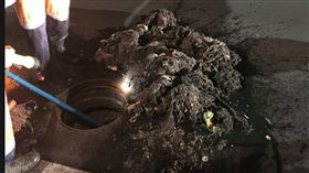 紐西蘭,吉斯伯恩,人孔蓋,下水道,排水,堵塞,Gisborne