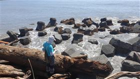 台東縣,公告,漂流木,撿拾,即起開放(圖/台東縣政府提供)中央社