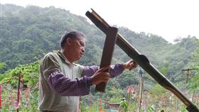 南投縣,奧萬大,民俗植物,研習,植物的智慧(圖/南投林管處提供)中央社