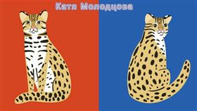 力挺石虎保育！正妹設計師親畫石虎圖：公開免費使用（圖／翻攝自翻滾毛孩-毛孩出任務臉書）