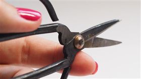 剪刀（圖／翻攝自Pixabay）