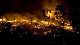 亞馬遜森林大火。（圖／翻攝自推特）