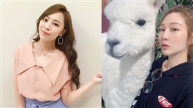 炮仔聲,勇兔,曾莞婷／翻攝自IG