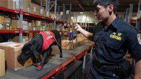 緝毒犬,查緝毒品,走私毒品,攔截,立功(圖/財政部關務署提供)中央社