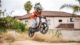 ▲Harley-Davidson電動滑步車。（圖／翻攝網站）