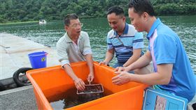 改善花蓮鯉魚潭水質  流放3000尾白鰱（1）東華大學自然資源與環境學系教授黃文彬（中）、花東縱谷國家風景管理處鯉魚潭站主任蔡威平（右）從苗栗養殖場選購3000尾白鰱放流鯉魚潭內，嘗試以生態食物鏈方式改善水質。中央社記者張祈攝  108年8月28日
