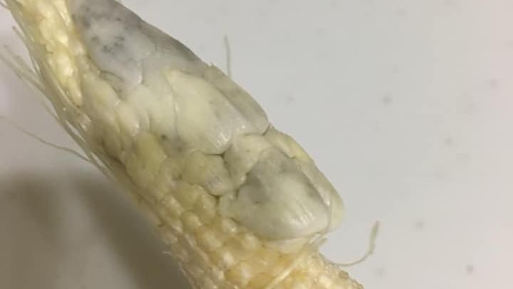 買到「長瘤」玉米筍！網驚呆：賺翻了