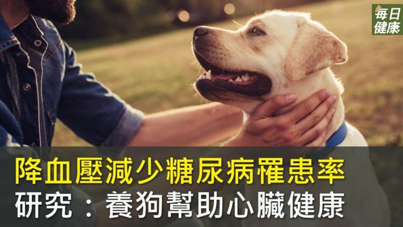 養狗好處多！保護心臟健康減少糖尿病