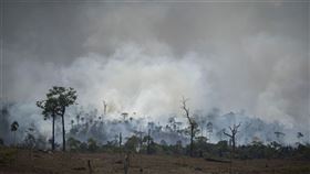 亞馬遜雨林,火災,秘魯,哥倫比亞,高峰會,保護(圖／美聯社／達志影像)